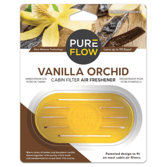 Vanilla Orchid